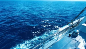 Hantavirus en croisière : faut-il s&rsquo;inquiéter ?
